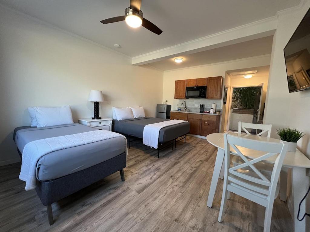 Unit 19 Maui Ohana Modern Studio Wailuku Kültér fotó